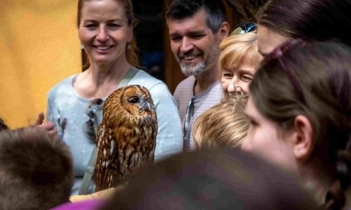Expozice zvířat s příběhem