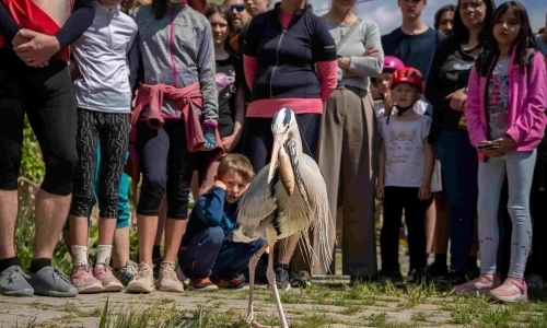 Expozice zvířat s příběhem