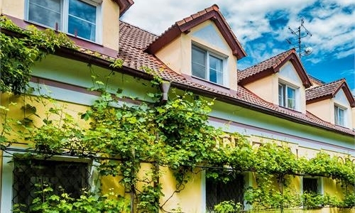 Penzion Dvorce Třeboň