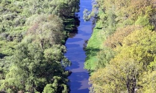 Dokument Třeboňsko – Krajina dvojího nebe nyní volně ke zhlédnutí