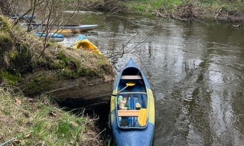 Půjčovna Dronte