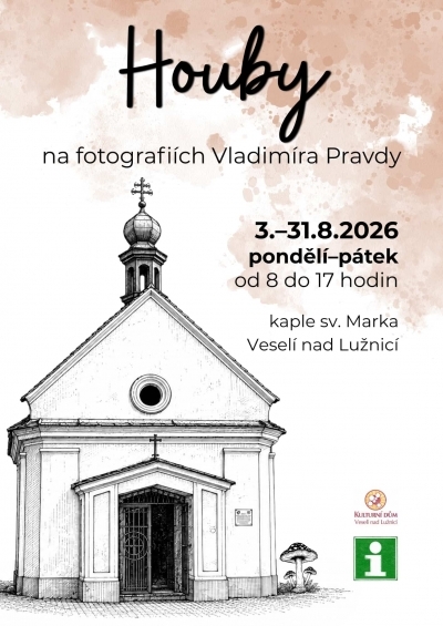 Houby na fotografiích Vladimíra Pravdy
