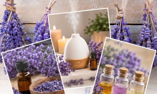 Přednáška: Síla a účinky aromaterapie