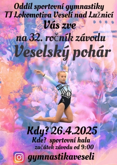 Veselský pohár - gymnastické závody