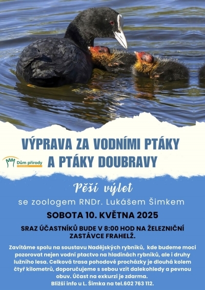 Výprava za vodními ptáky a ptáky doubravy