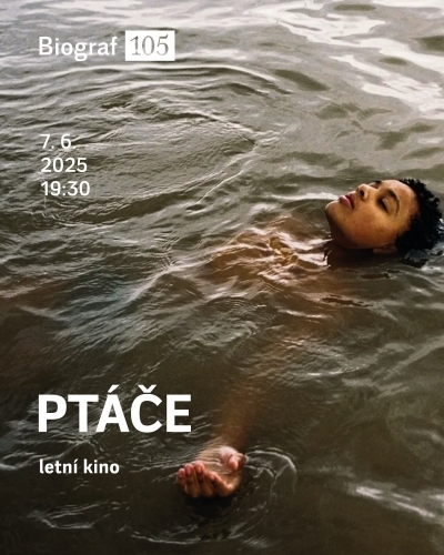 Ptáče