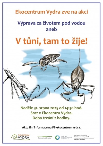 Výprava za životem pod vodou aneb v tůni, tam to žije