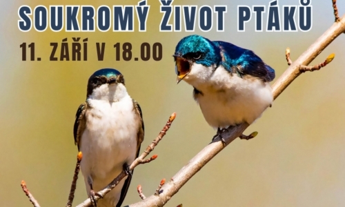Přednáška: Soukromý život ptáků