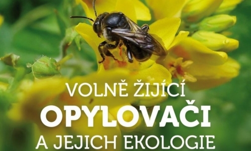 Volně žijící opylovači a jejich ekologie