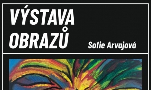 Výstava obrazů