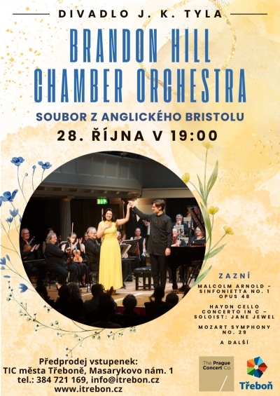 Brandon Hill Chamber Orchestra
