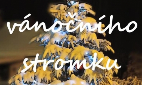 Rozsvícení vánočního stromu v Tušti