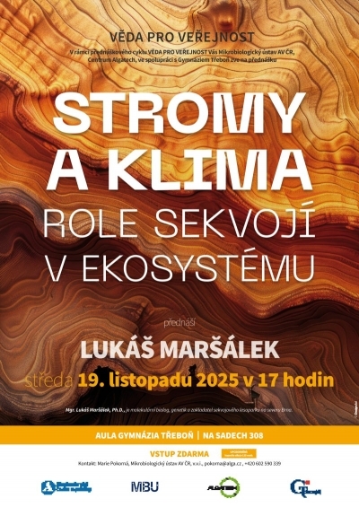 Stromy a klima - role sekvojí v ekosystému