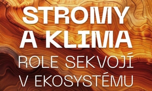Stromy a klima - role sekvojí v ekosystému