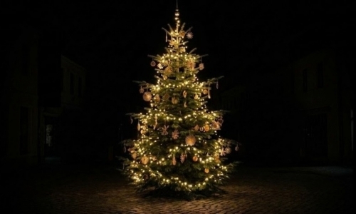 Rozsvícení vánočního stromu