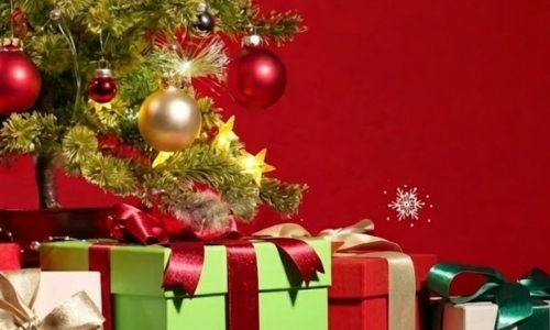 Strom přání pro dětský domov Radenín