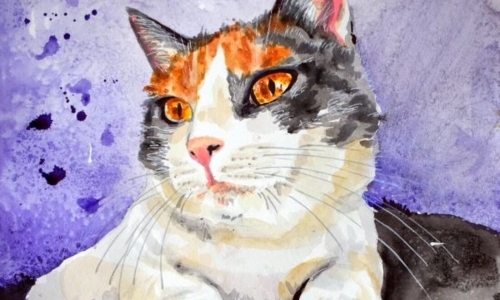 Jako mávnutím křídla