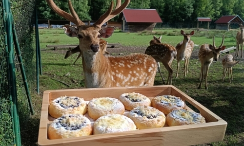 Voňavý punč s jeleny