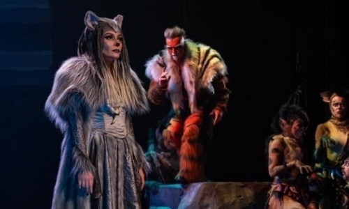 Kniha džunglí - rodinný muzikál