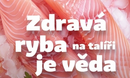 Zdravá ryba na talíři je věda