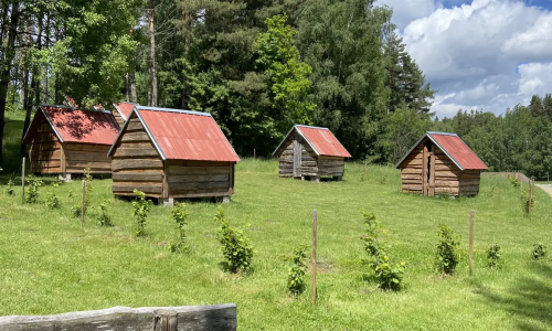 Kemp Štaindlův kopec