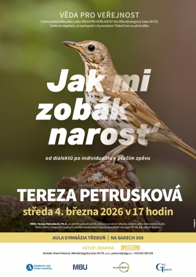 Věda pro veřejnost: Jak mi zobák narosť