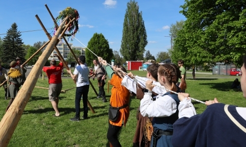 Stavění veselského Máje 2026