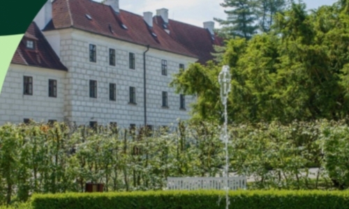 Pětilistá růže a parky v Třeboni