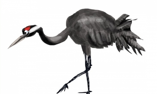 Vítání ptačího zpěvu v Lutové