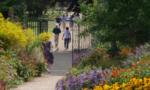 Magická krása vyšších trvalek - přednáška