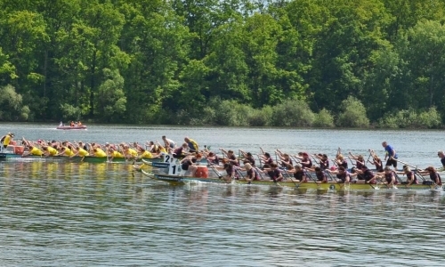 Dračí Svět Třeboň 2026