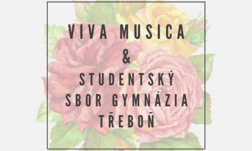 Benefiční koncert