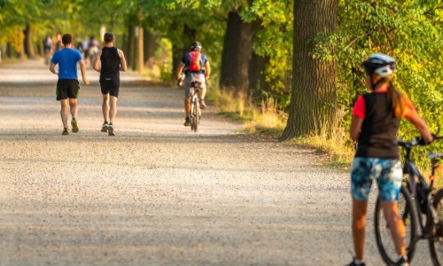 Jednodenní výlety po Třeboňsku