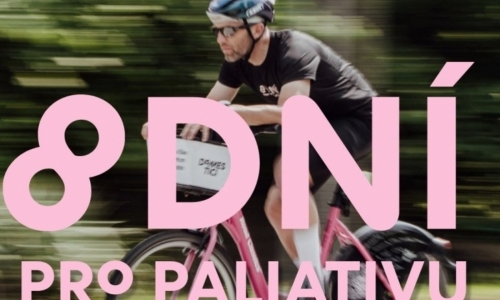 Domestici: 8 dní pro paliativu
