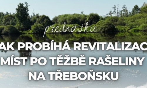 Jak probíhá revitalizace míst po těžbě rašeliny