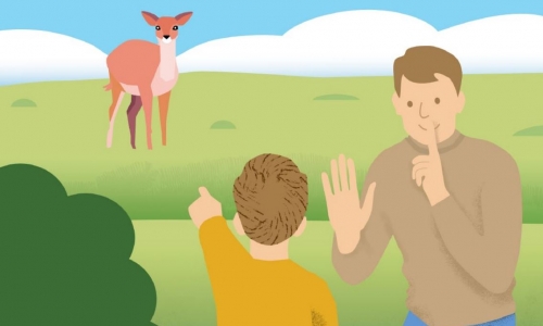 Krajina dvojího nebe: Proč si Třeboňsko zaslouží náš respekt?