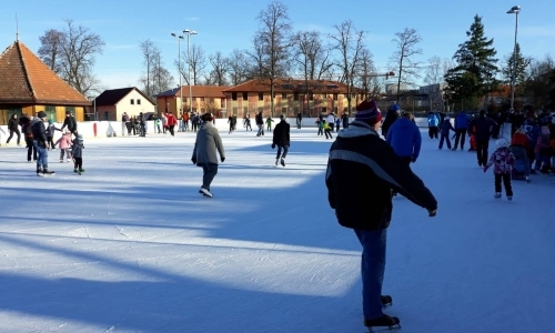 Ledová plocha v Třeboni